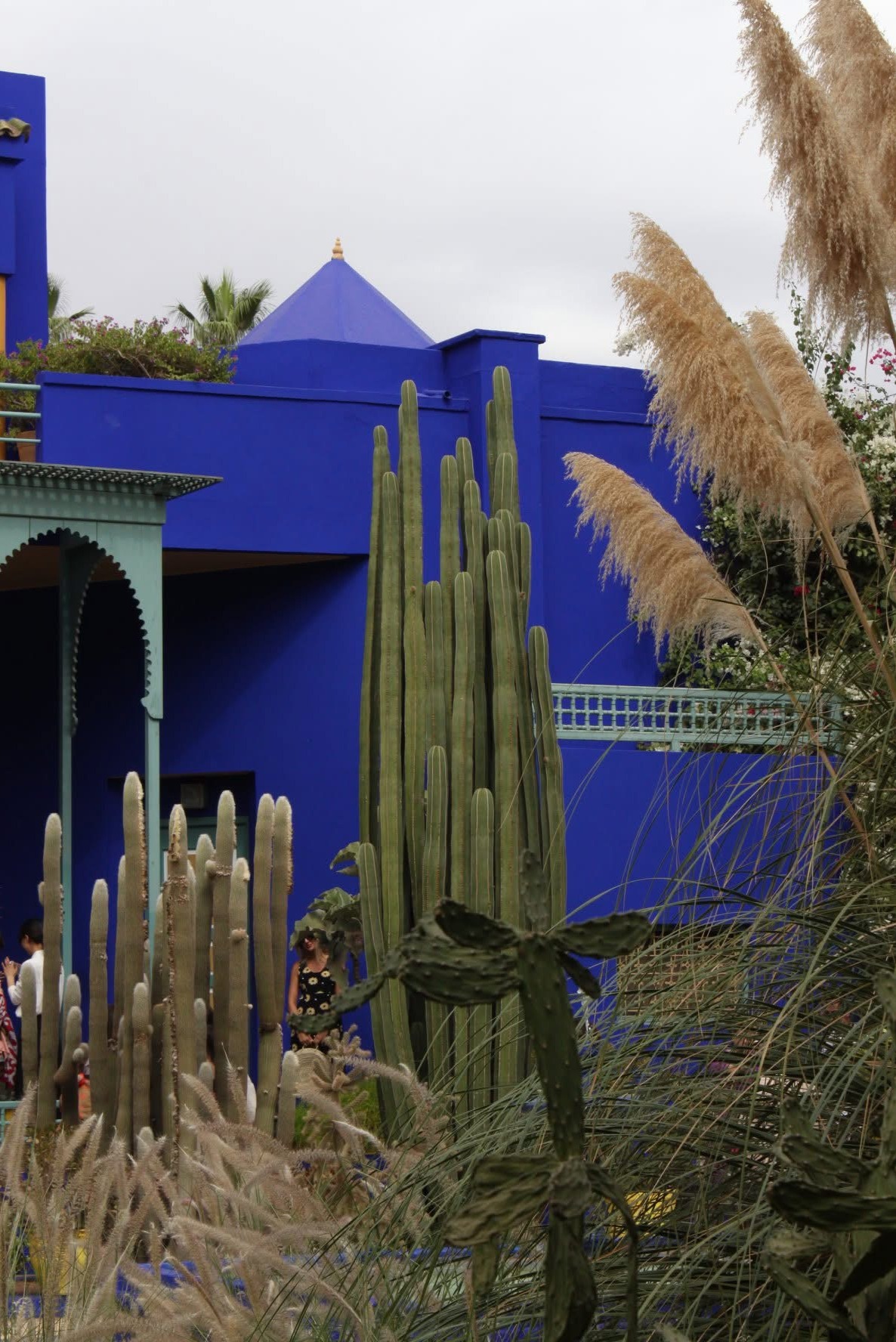 Jardin Majorelle: A Painter’s Garden in Marrakech
